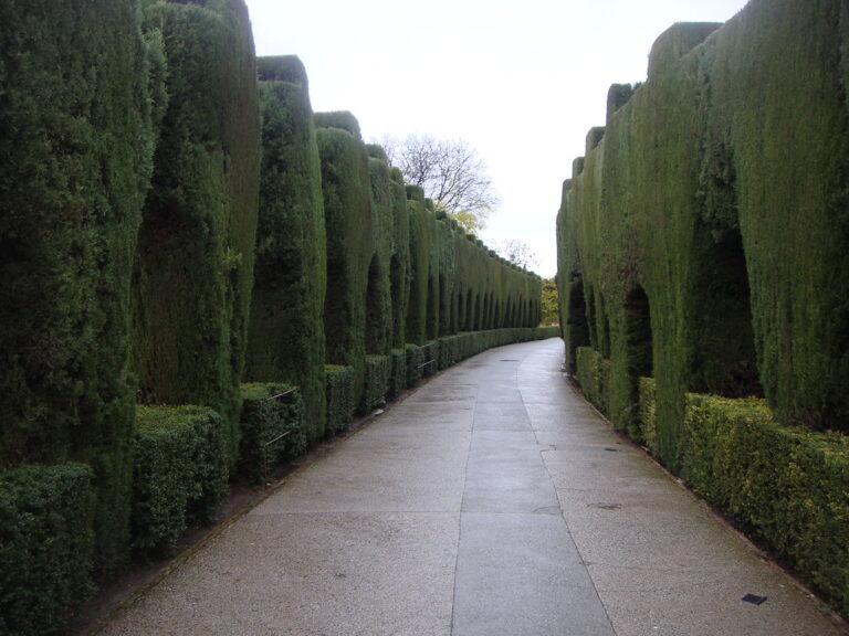 Photo of Granada, Spain