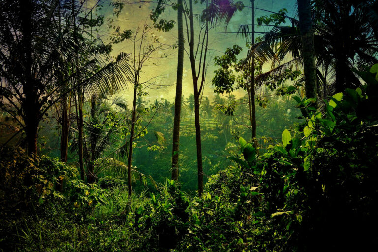 Ubud